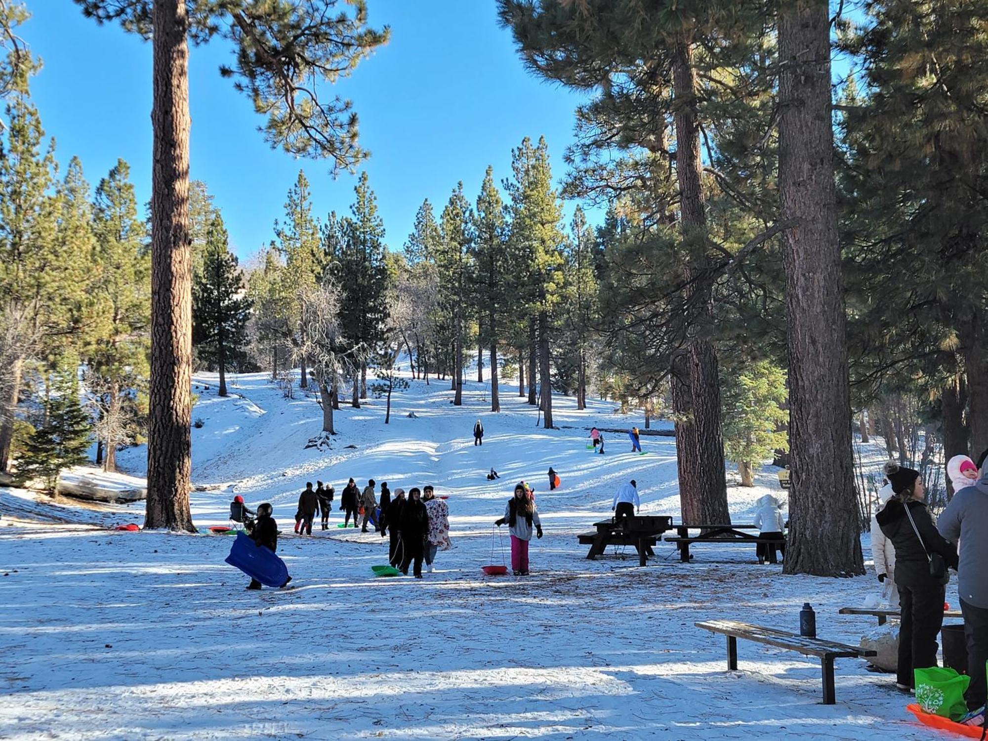 Four Seasons Getaway-Private Hot Spa With Pine Tree Views-Walk To Village And Pineknot Trailhead-Plus King Bed! Big Bear Lake Exterior photo