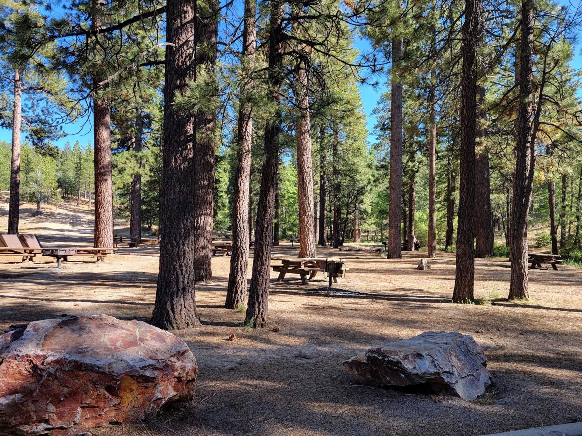 Four Seasons Getaway-Private Hot Spa With Pine Tree Views-Walk To Village And Pineknot Trailhead-Plus King Bed! Big Bear Lake Exterior photo